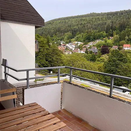 Ente An Der Enz, Mit Schwimmbad Und Sauna *
