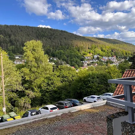 דירה Ente An Der Enz, Mit Schwimmbad Und Sauna