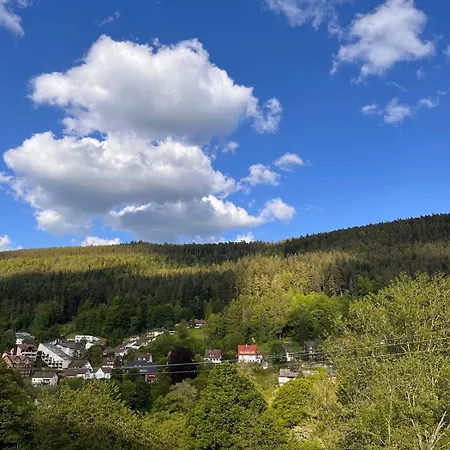 Ente An Der Enz, Mit Schwimmbad Und Sauna * באד ווילבאד